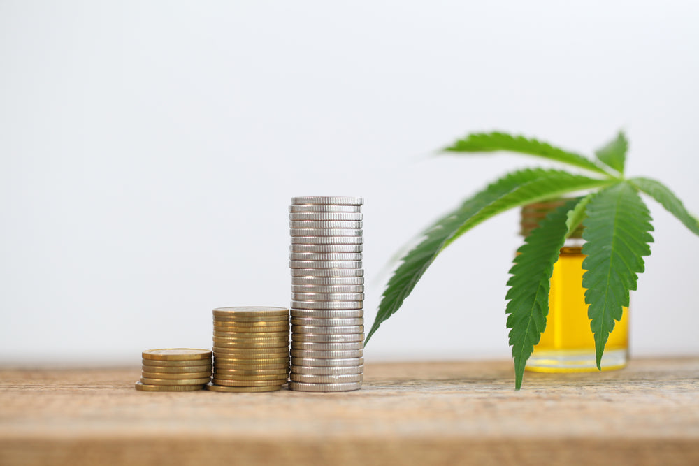 How to start a CBD oil business Amberwing Organics