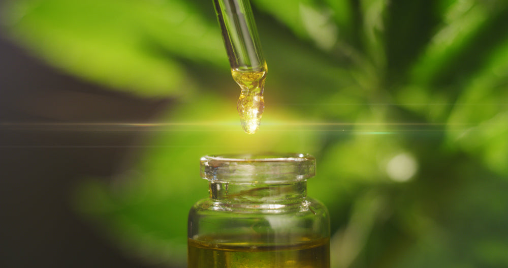 Is CBD Oil Purely Organic? | Amberwing Organics